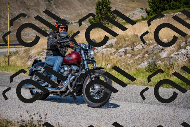 202508091047-DSC_4259_c2