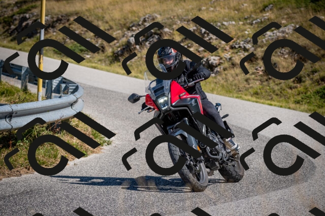 202508091057-DSC_4267_c2