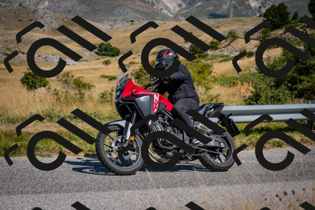 202508091057-DSC_4268_c2