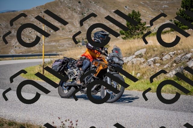 202508091106-DSC_4277_c2