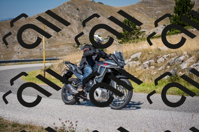 202508091106-DSC_4278_c2