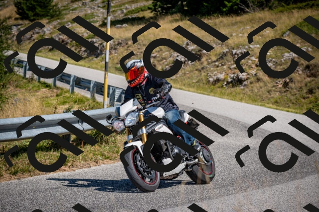 202508091120-DSC_4285_c2