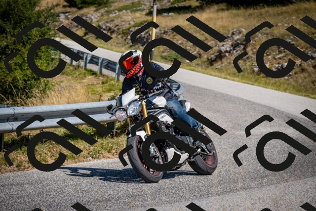 202508091123-DSC_4292_c2