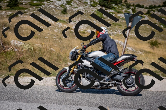 202508091123-DSC_4295_c2