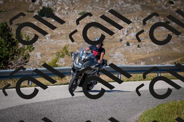 202508091127-DSC_4298_c2