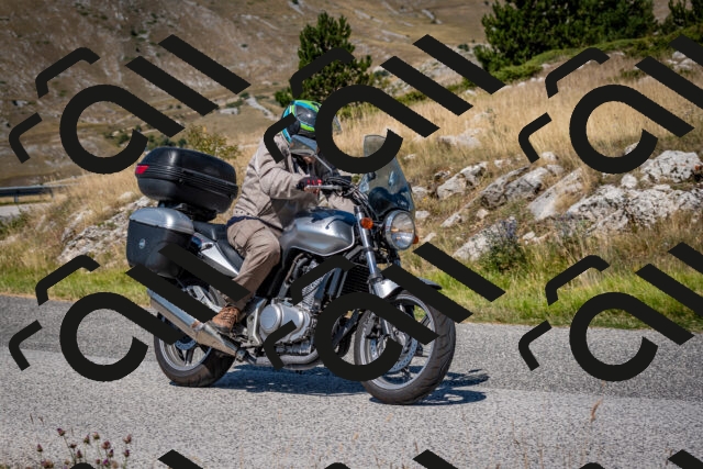 202508091128-DSC_4304_c2