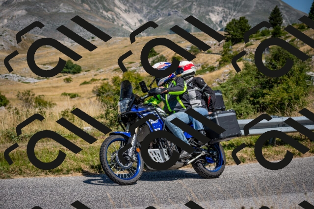 202508091129-DSC_4308_c2