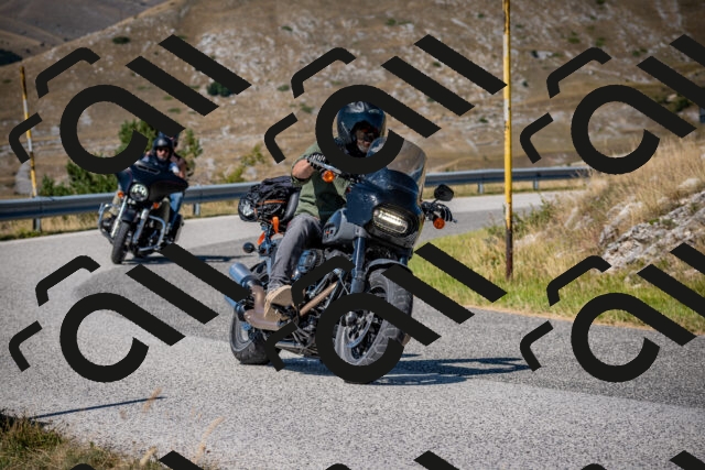 202508091130-DSC_4310_c2