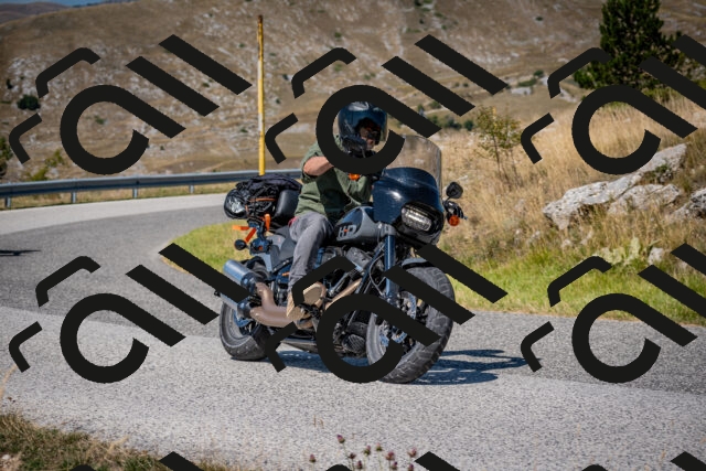 202508091130-DSC_4311_c2