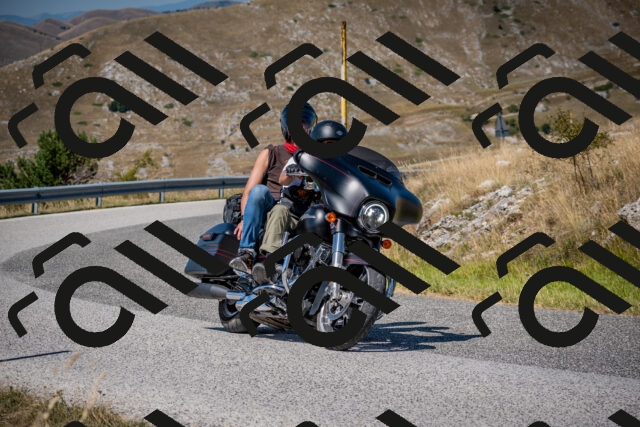 202508091130-DSC_4312_c2