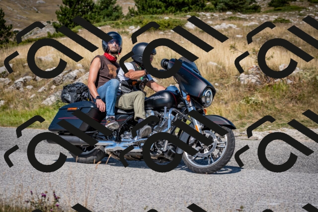 202508091130-DSC_4313_c2