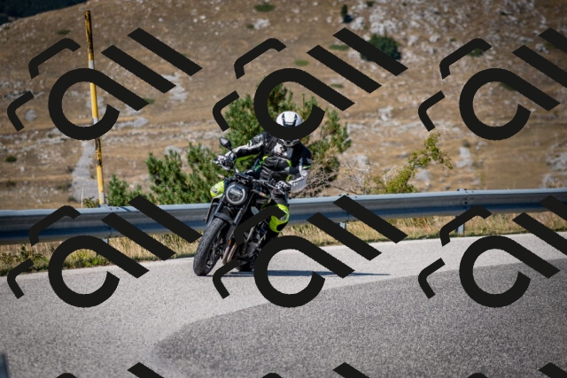 202508091131-DSC_4314_c2