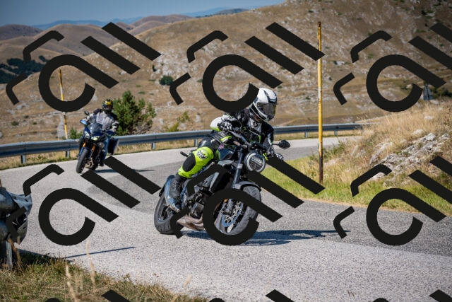 202508091131-DSC_4315_c2