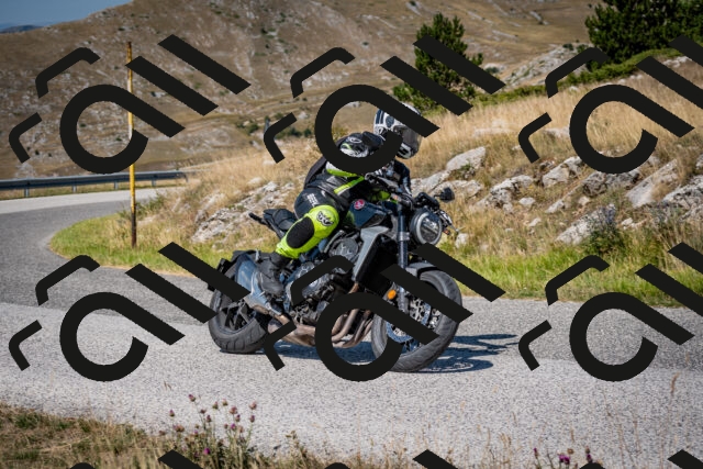 202508091131-DSC_4316_c2