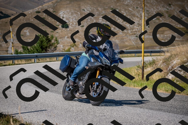 202508091132-DSC_4317_c2