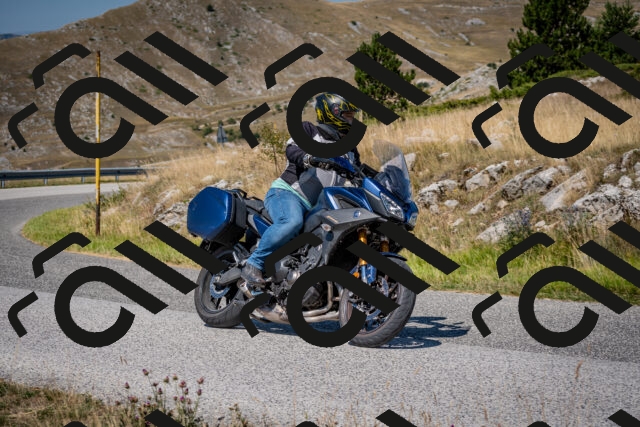 202508091132-DSC_4318_c2