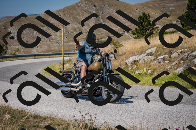 202508091132-DSC_4320_c2