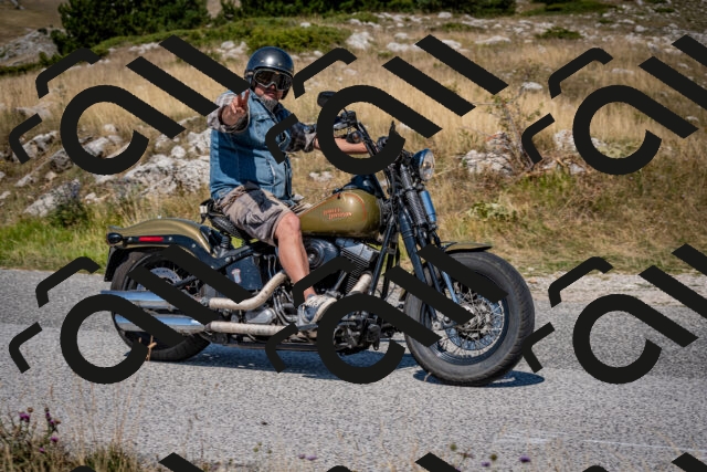 202508091132-DSC_4321_c2