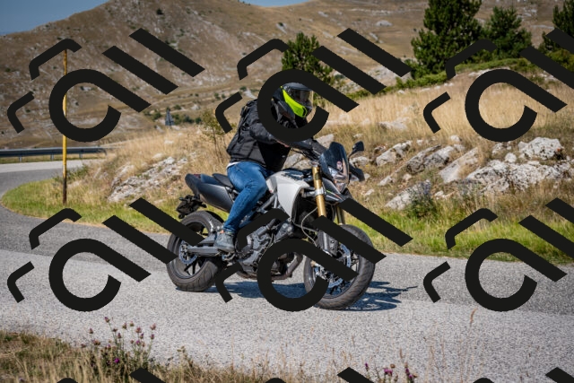 202508091134-DSC_4326_c2