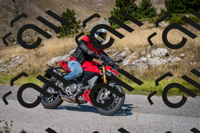 202508091134-DSC_4328_c2