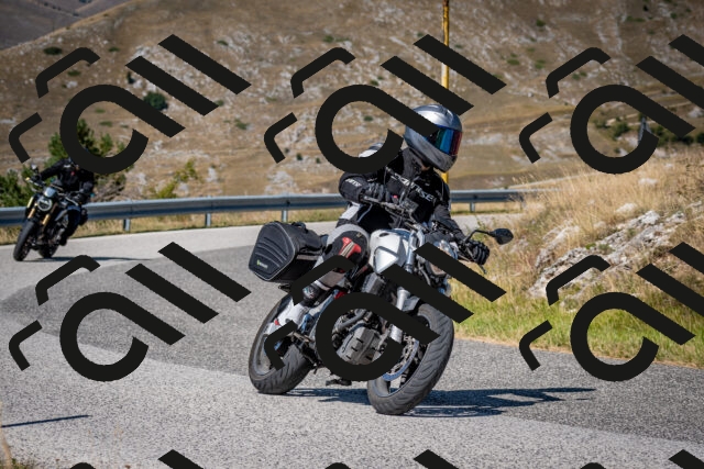 202508091134-DSC_4329_c2