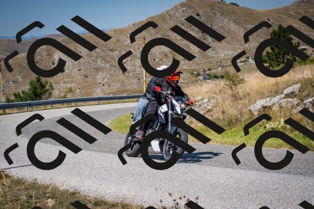 202508091136-DSC_4334_c2