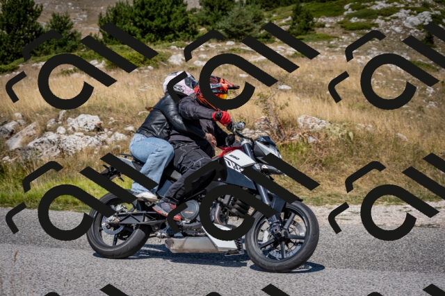 202508091136-DSC_4335_c2