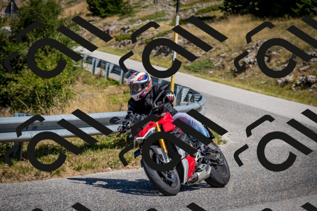 202508091137-DSC_4349_c2