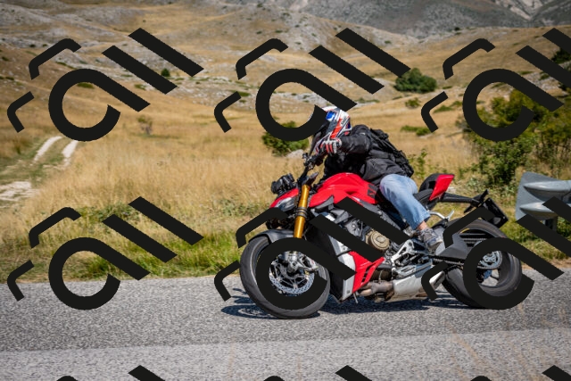 202508091137-DSC_4350_c2