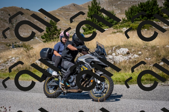 202508091143-DSC_4354_c2