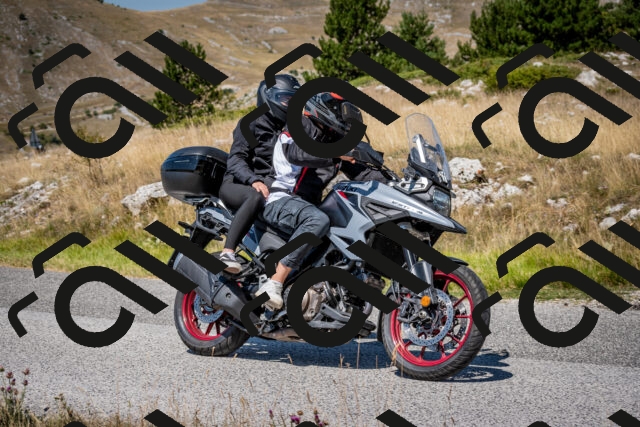 202508091145-DSC_4359_c2