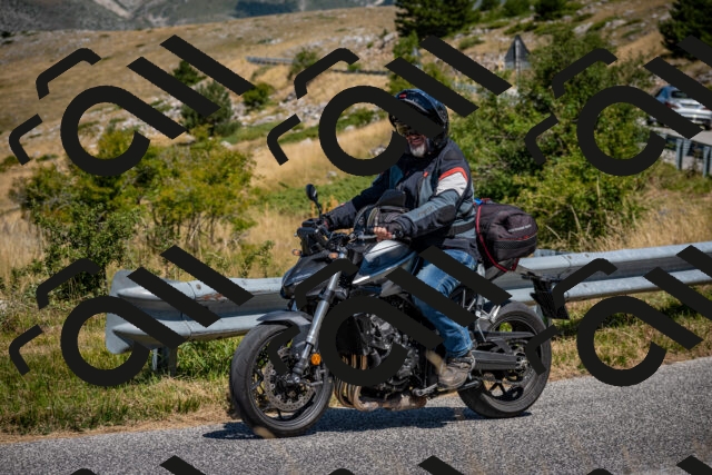 202508091149-DSC_4375_c2