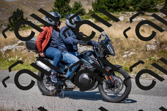 202508091153-DSC_4377_c2