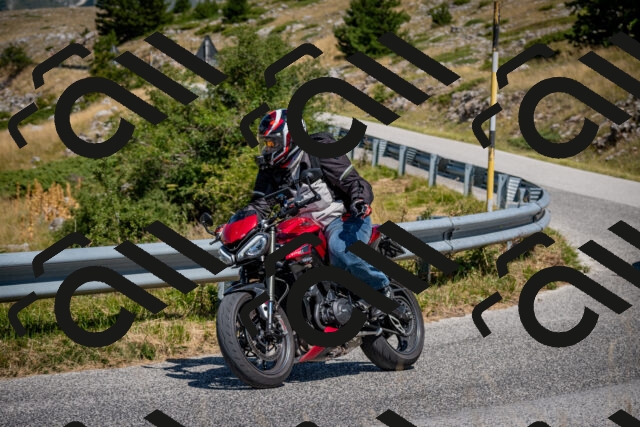 202508091202-DSC_4381_c2