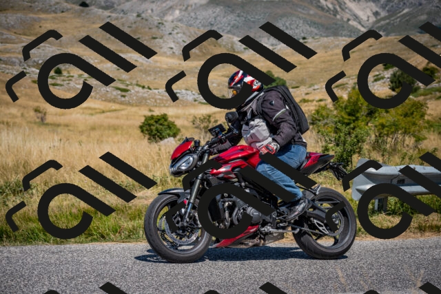 202508091202-DSC_4382_c2