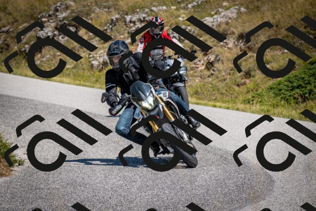 202508091202-DSC_4383_c2