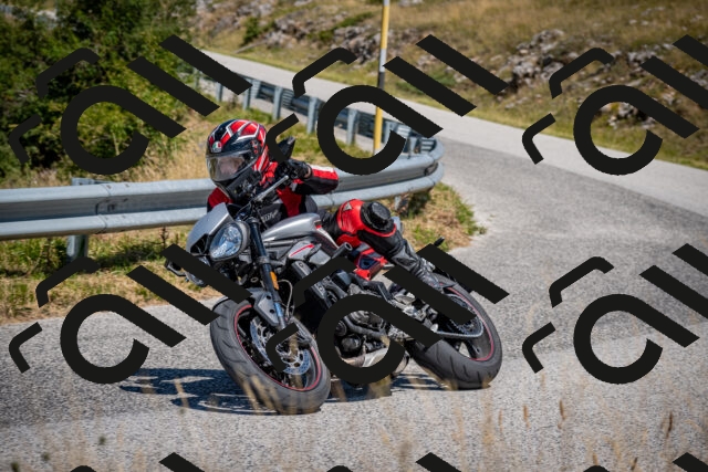 202508091202-DSC_4385_c2