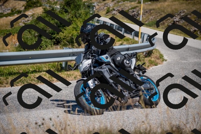 202508091202-DSC_4387_c2