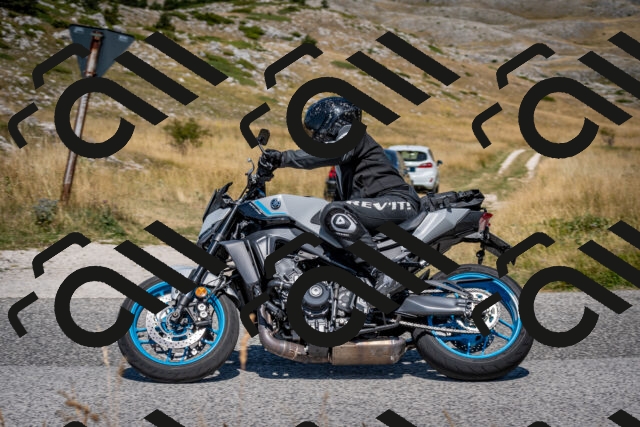 202508091202-DSC_4388_c2