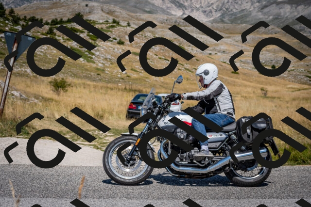 202508091203-DSC_4392_c2