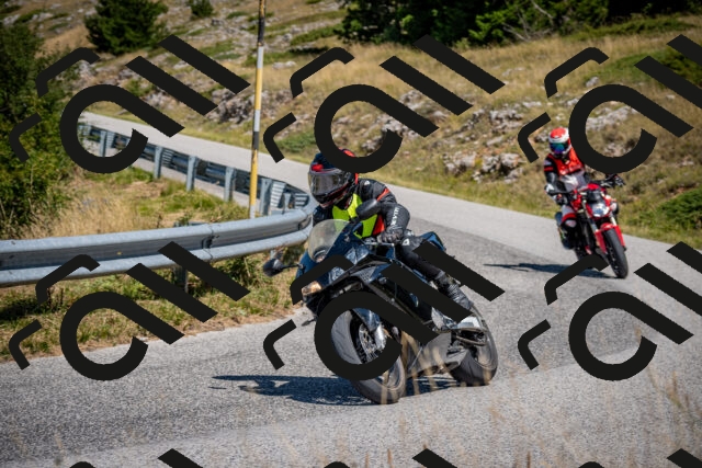 202508091204-DSC_4393_c2