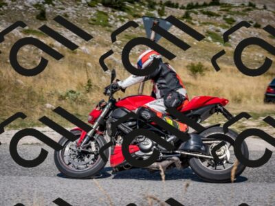 202508091204-DSC_4397_c2