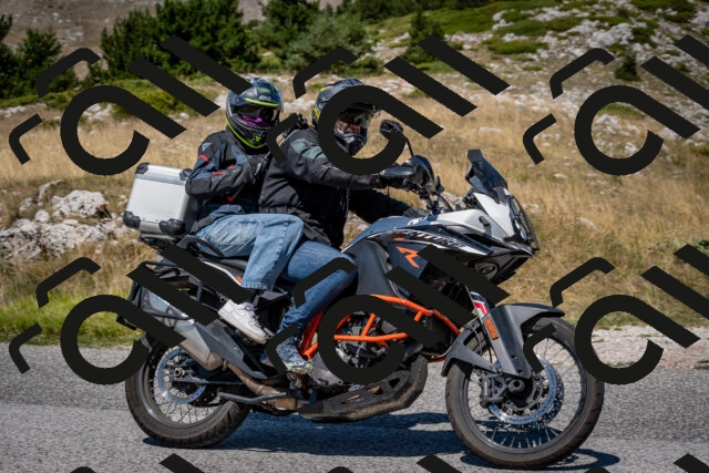 202508091206-DSC_4399_c2