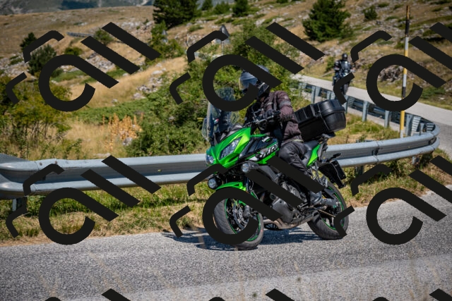 202508091208-DSC_4400_c2