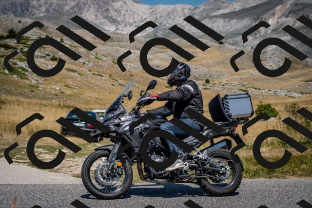 202508091208-DSC_4403_c2