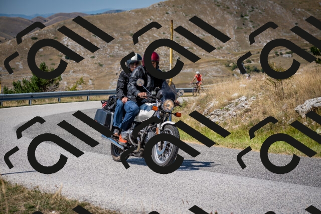 202508091209-DSC_4404_c2