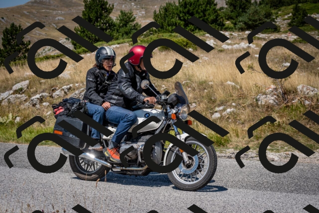 202508091209-DSC_4405_c2