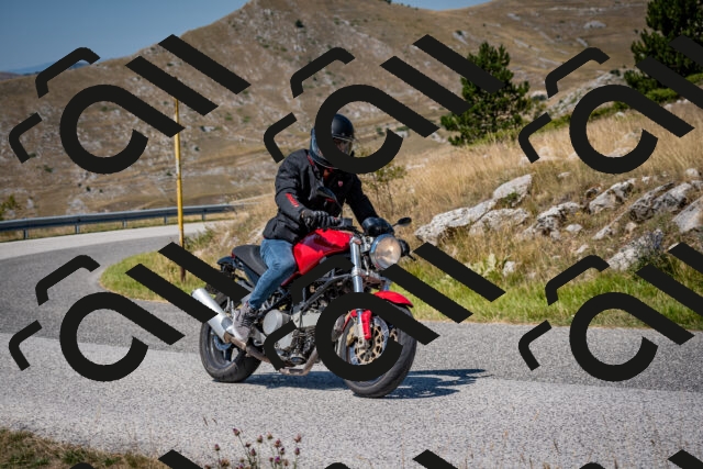 202508091210-DSC_4409_c2