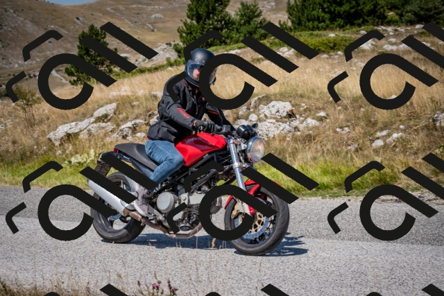 202508091210-DSC_4410_c2