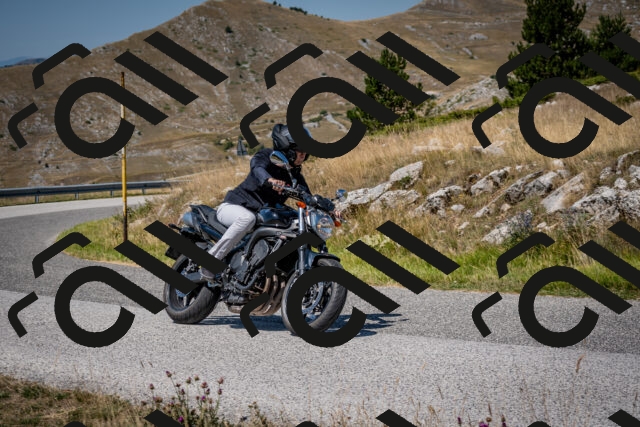 202508091210-DSC_4411_c2